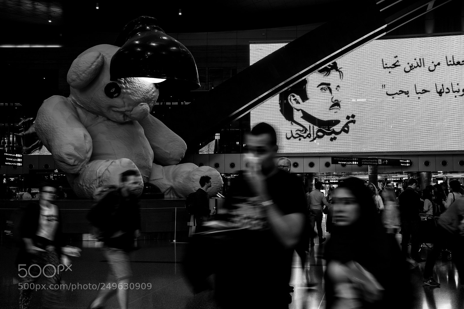 Canon EOS 700D (EOS Rebel T5i / EOS Kiss X7i) sample photo. Monochrome bear photography