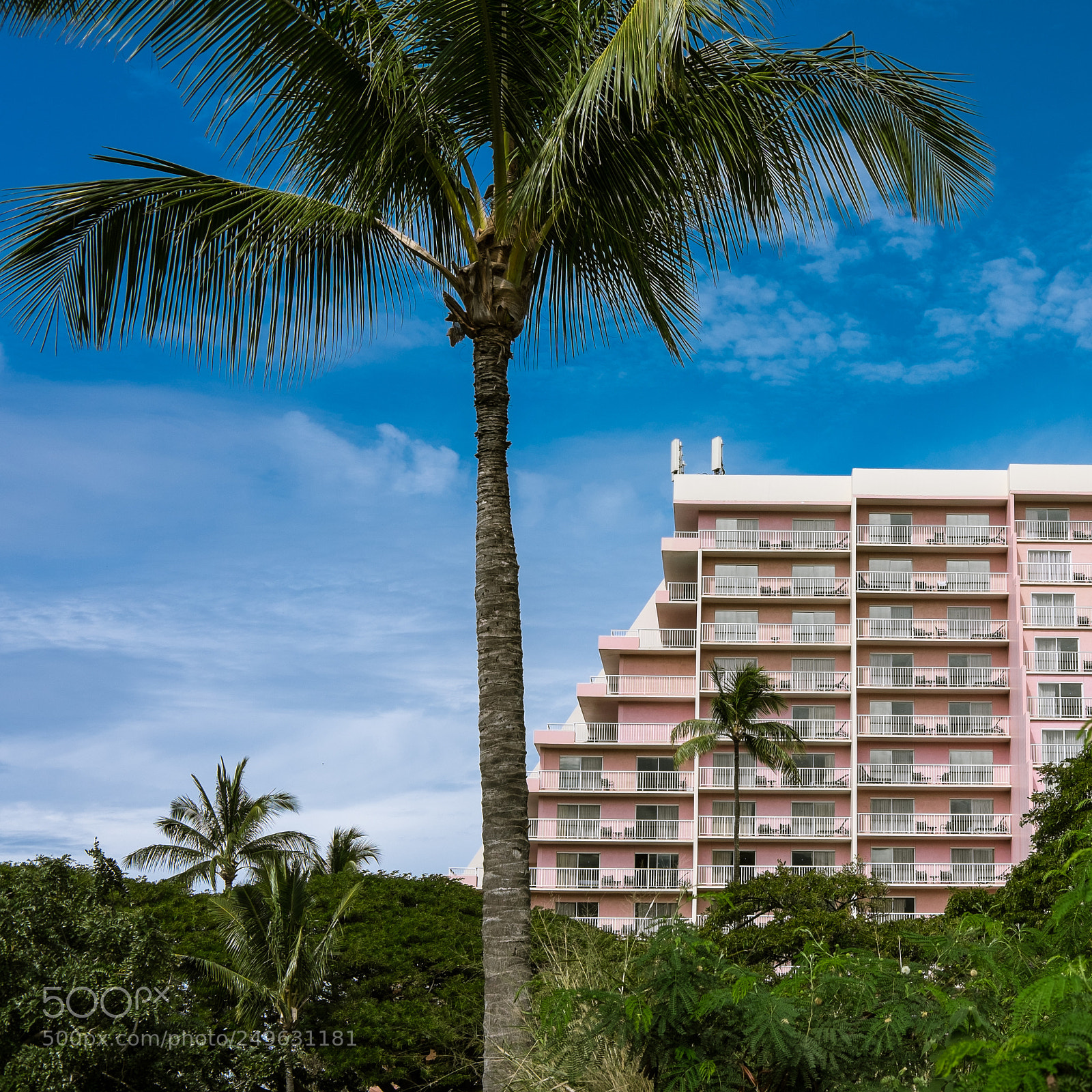 Fujifilm X-E2 sample photo. Pink paradise photography