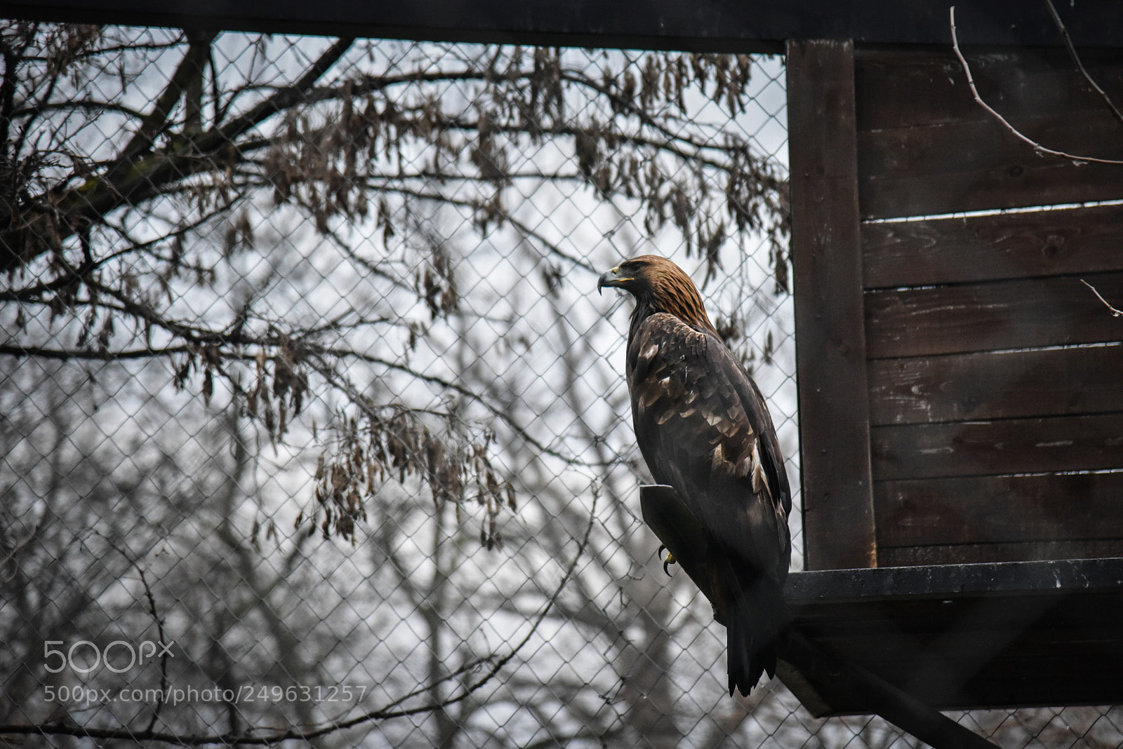 Nikon D810 sample photo. Taken ii photography
