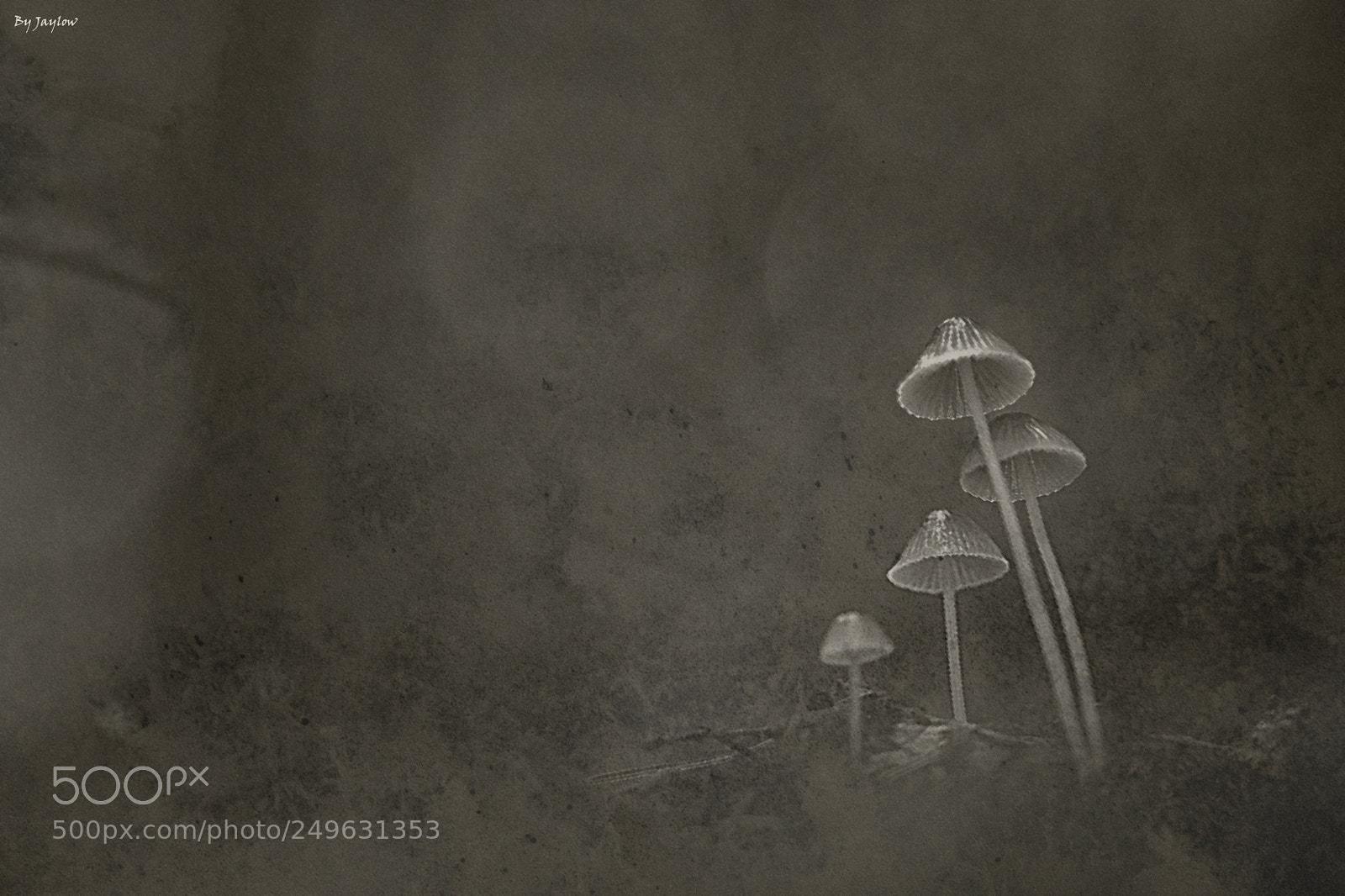 Nikon D7100 sample photo. Dark dreams photography