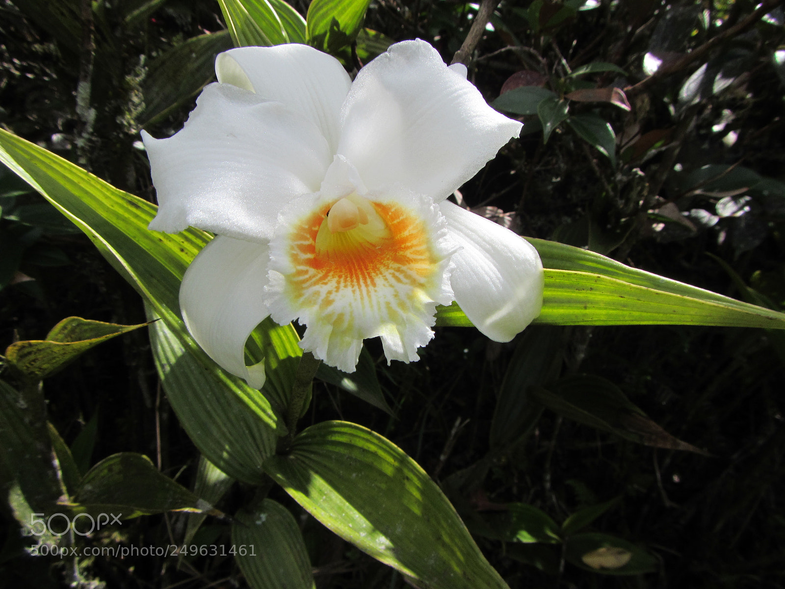 Canon PowerShot D30 sample photo. Copia photography