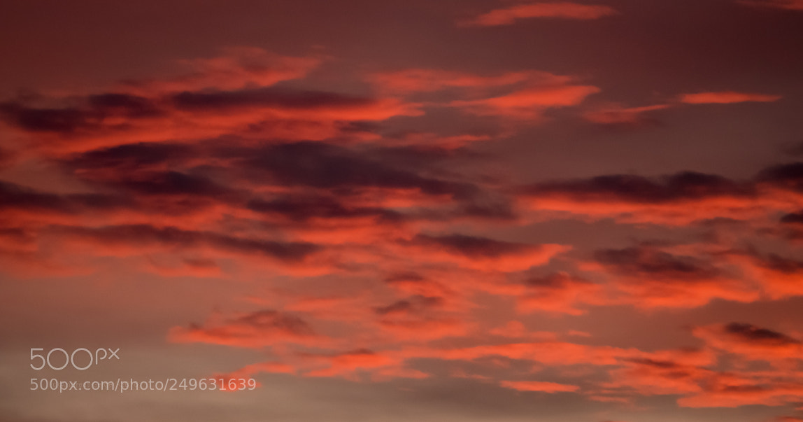 Panasonic Lumix DMC-G85 (Lumix DMC-G80) sample photo. Glowing clouds photography