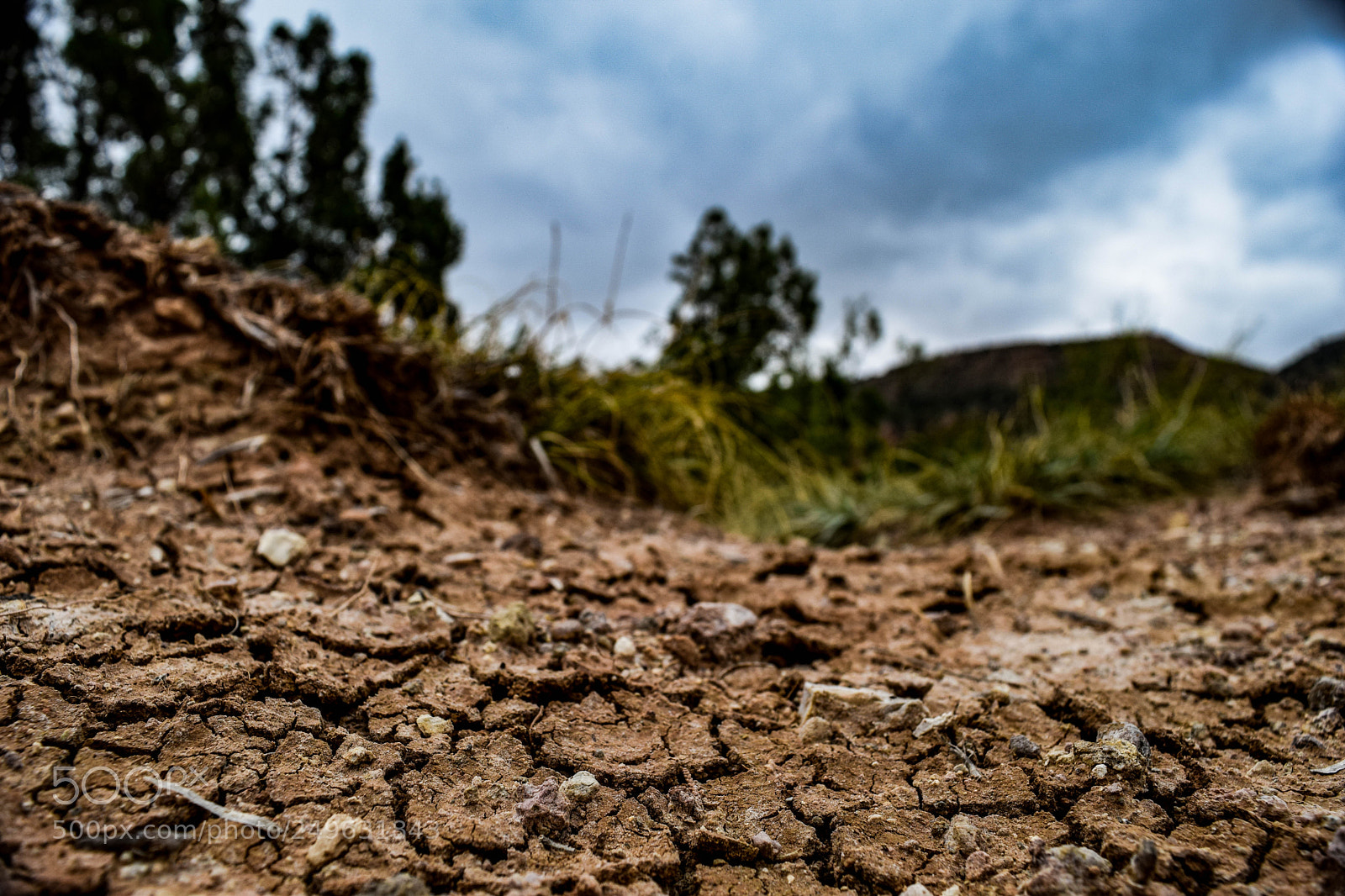 Nikon D5300 sample photo. Dry soil of palo photography
