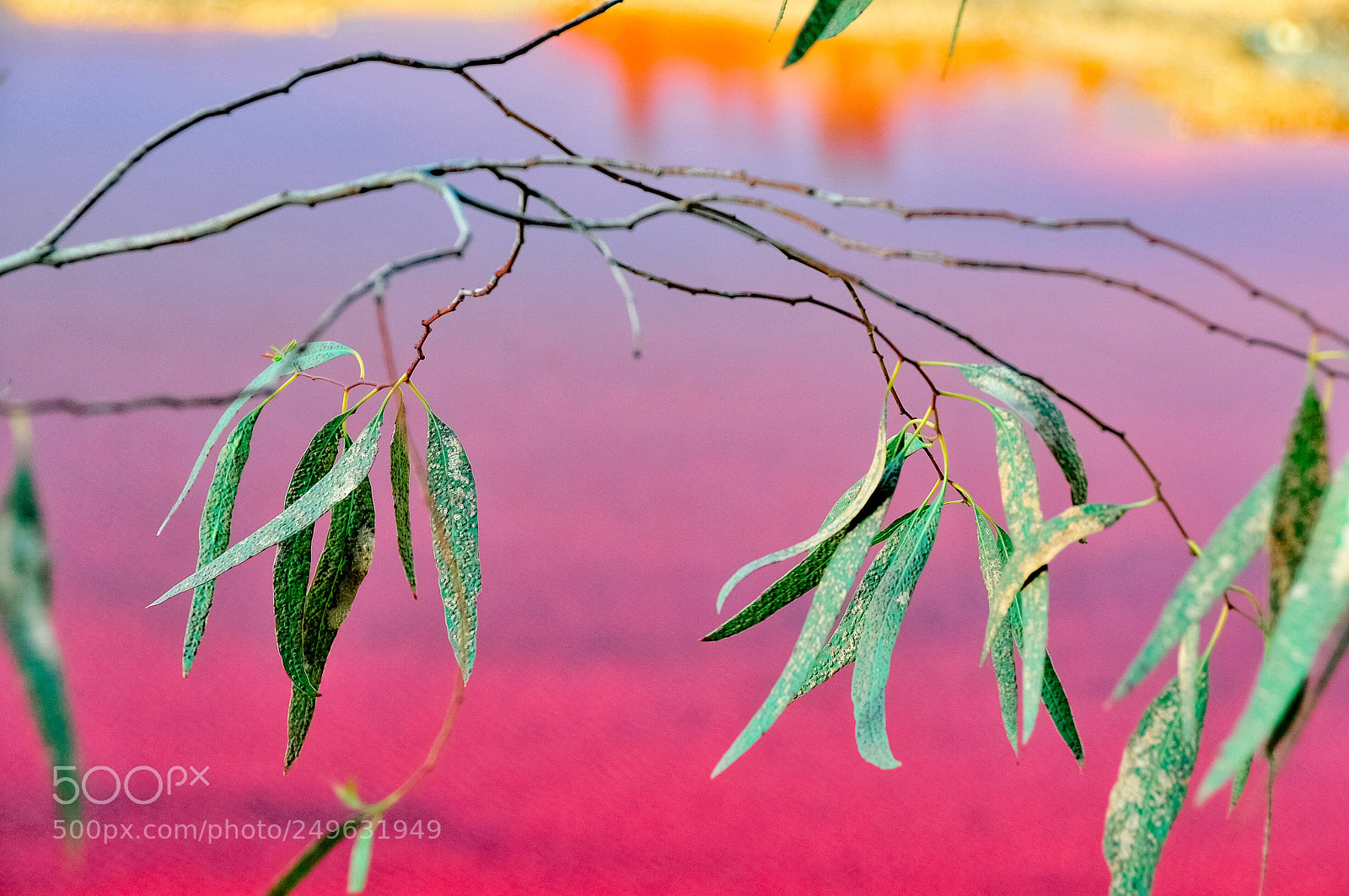 Nikon D300 sample photo. Am rio tinto photography