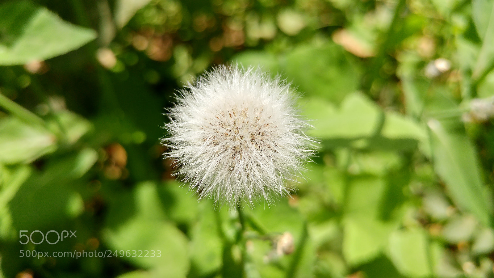 LG G5 sample photo. ### photography