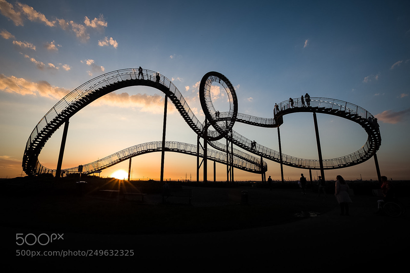Canon EOS 5D Mark IV sample photo. Tiger & turtle photography