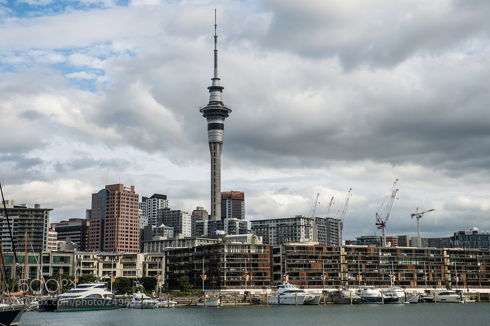 Nikon D4 sample photo. Auckland : new zealand photography