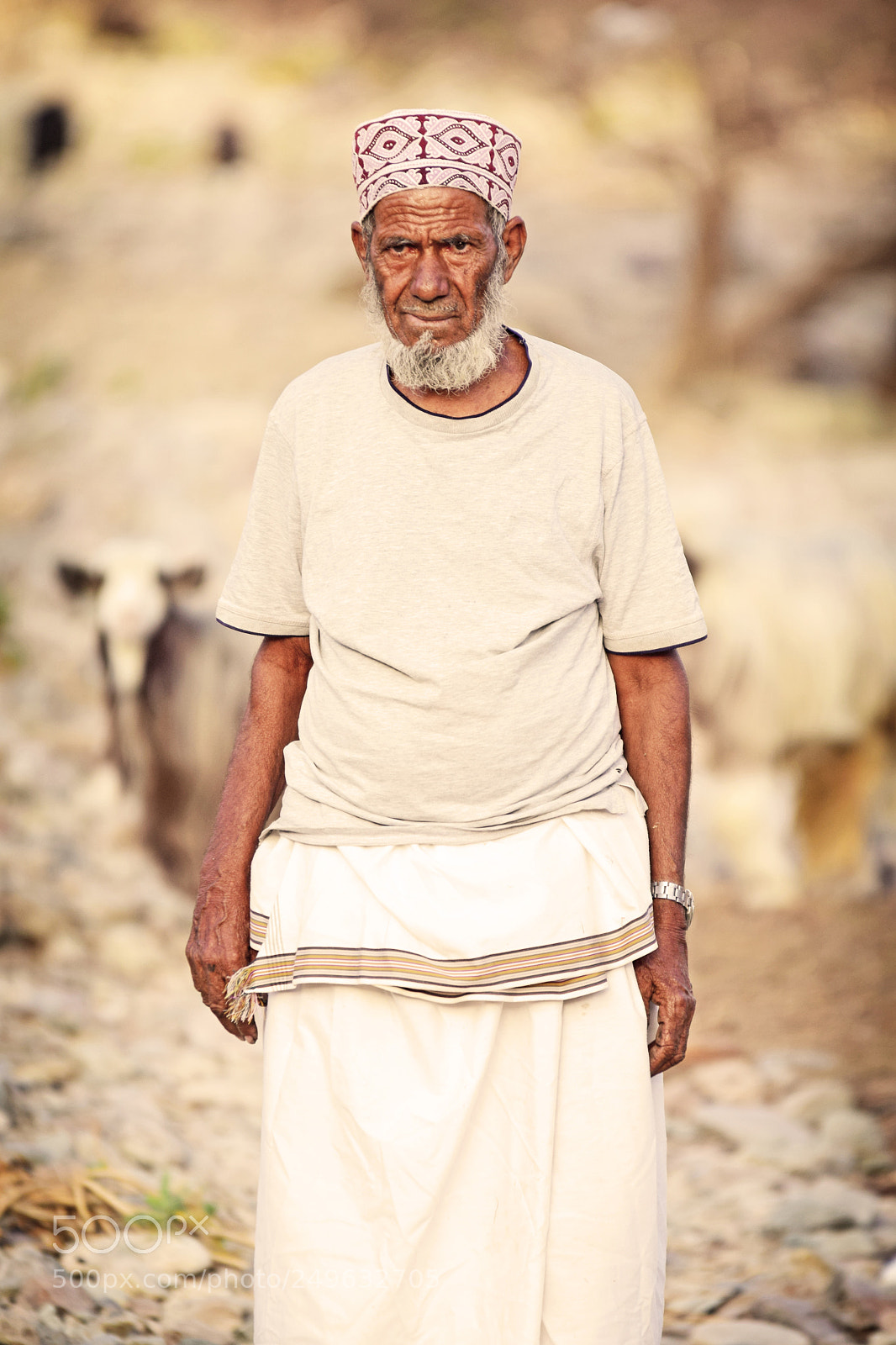 Nikon D5300 sample photo. The face of the photography