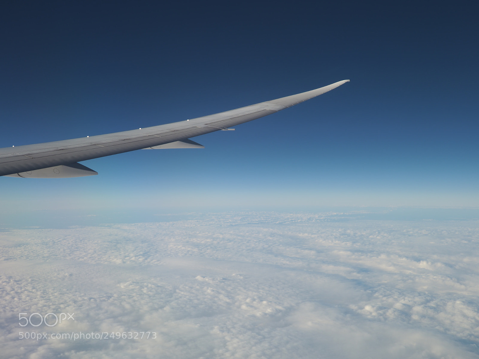 Olympus OM-D E-M1 Mark II sample photo. Scenic view of wing photography