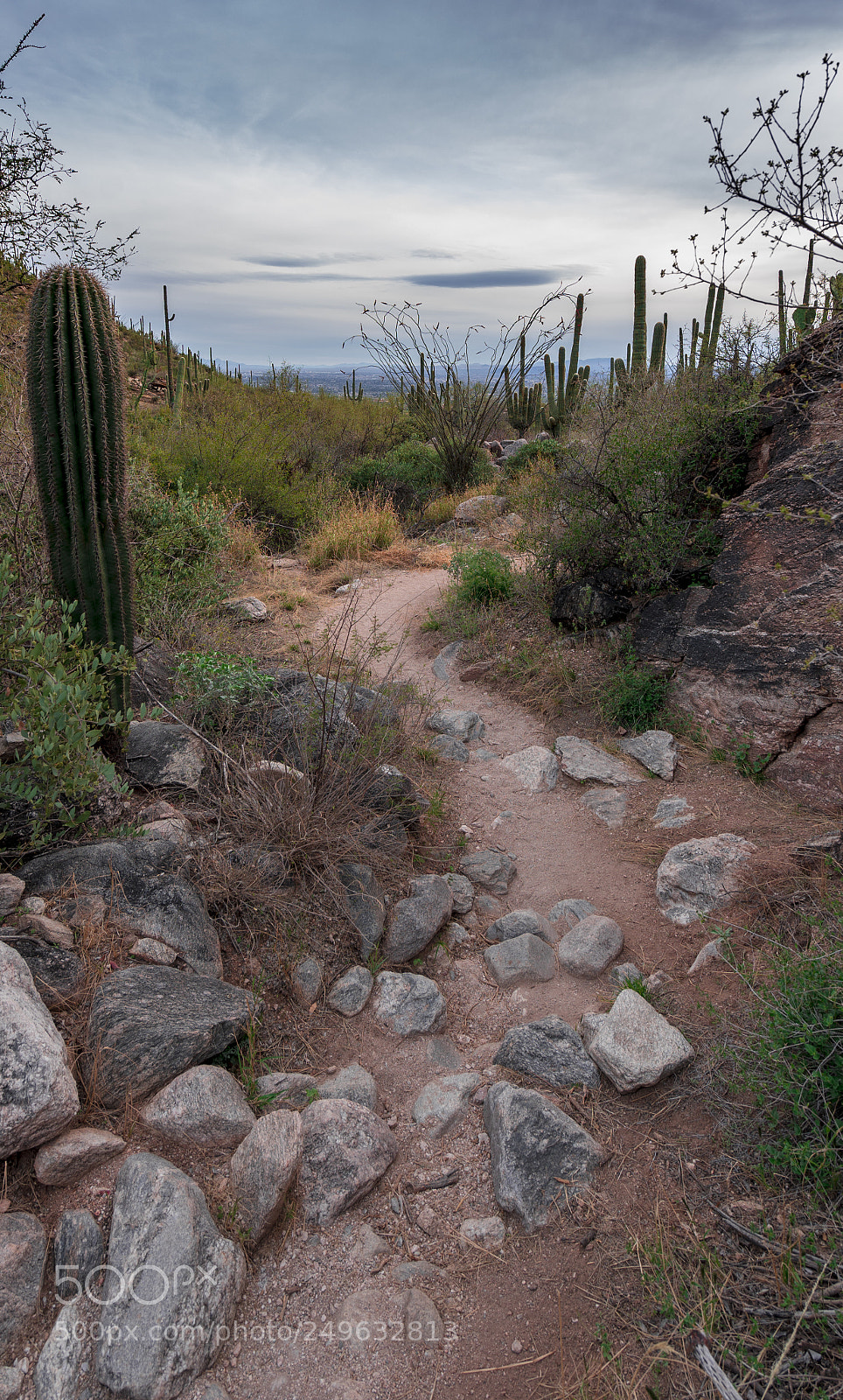 Sony a7 sample photo. Finger rock trail photography