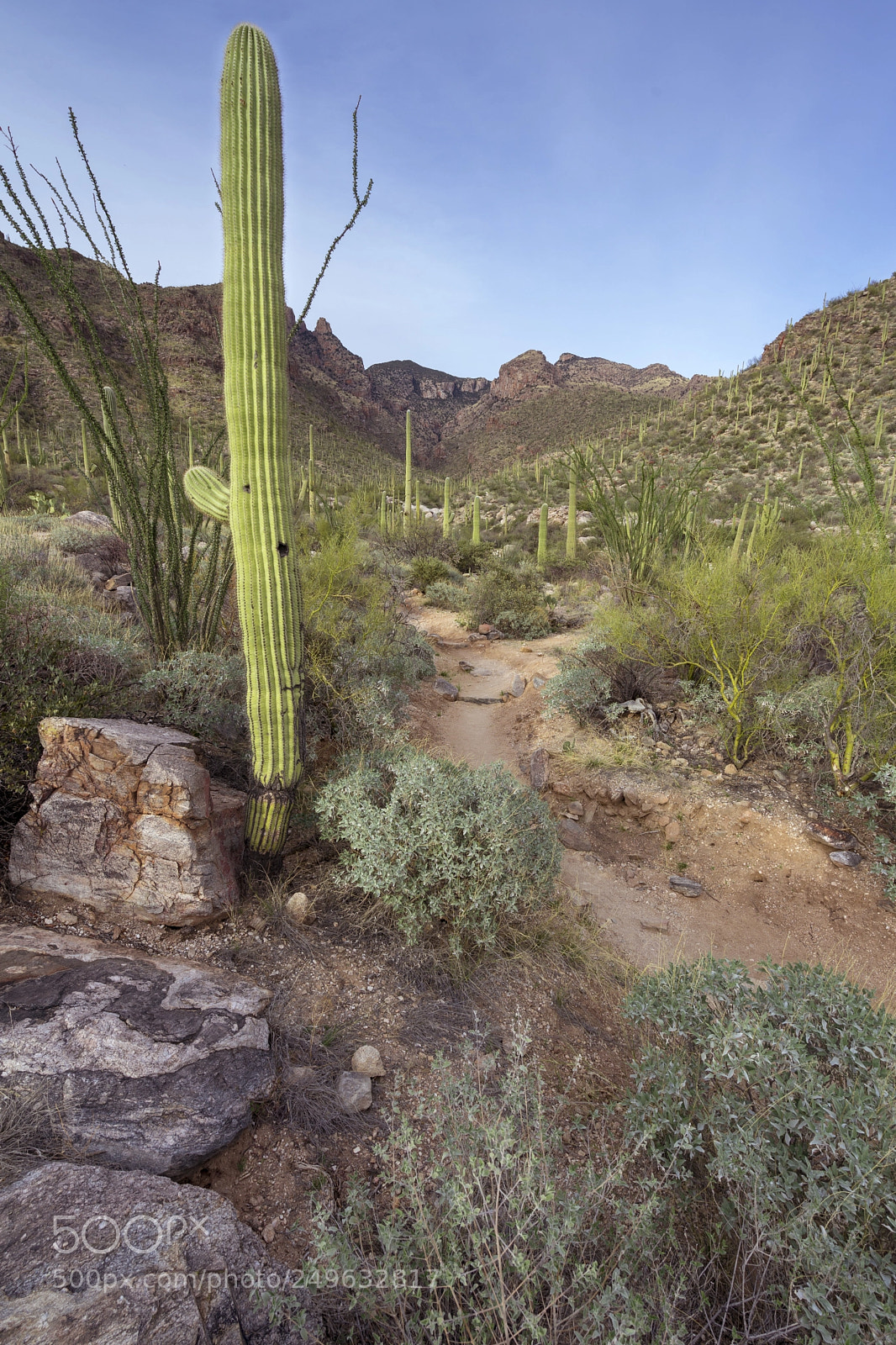 Sony a7 sample photo. Finger rock trail photography