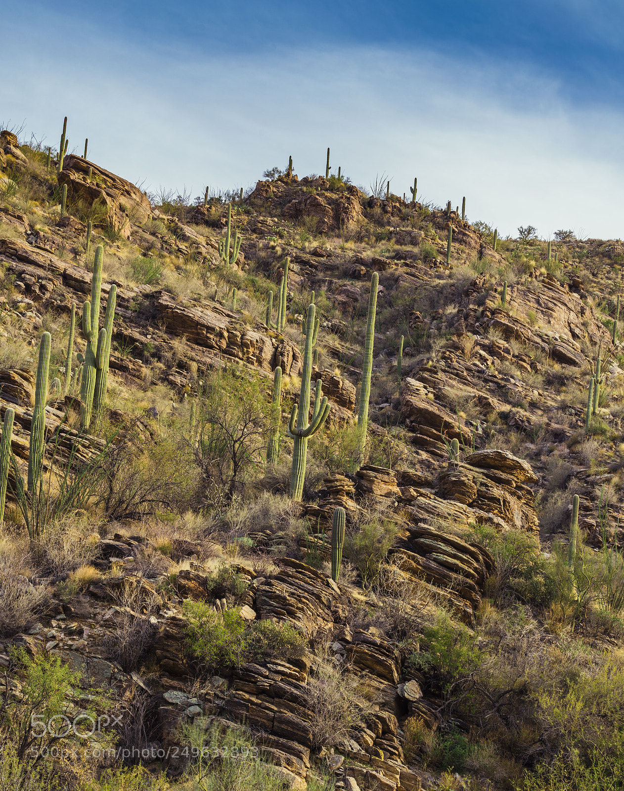 Sony a7 sample photo. Finger rock trail photography
