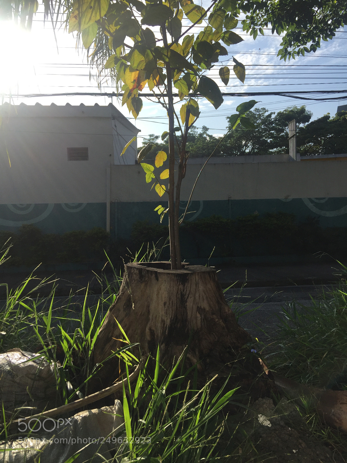 Apple iPhone 6 Plus sample photo. Untitled photography