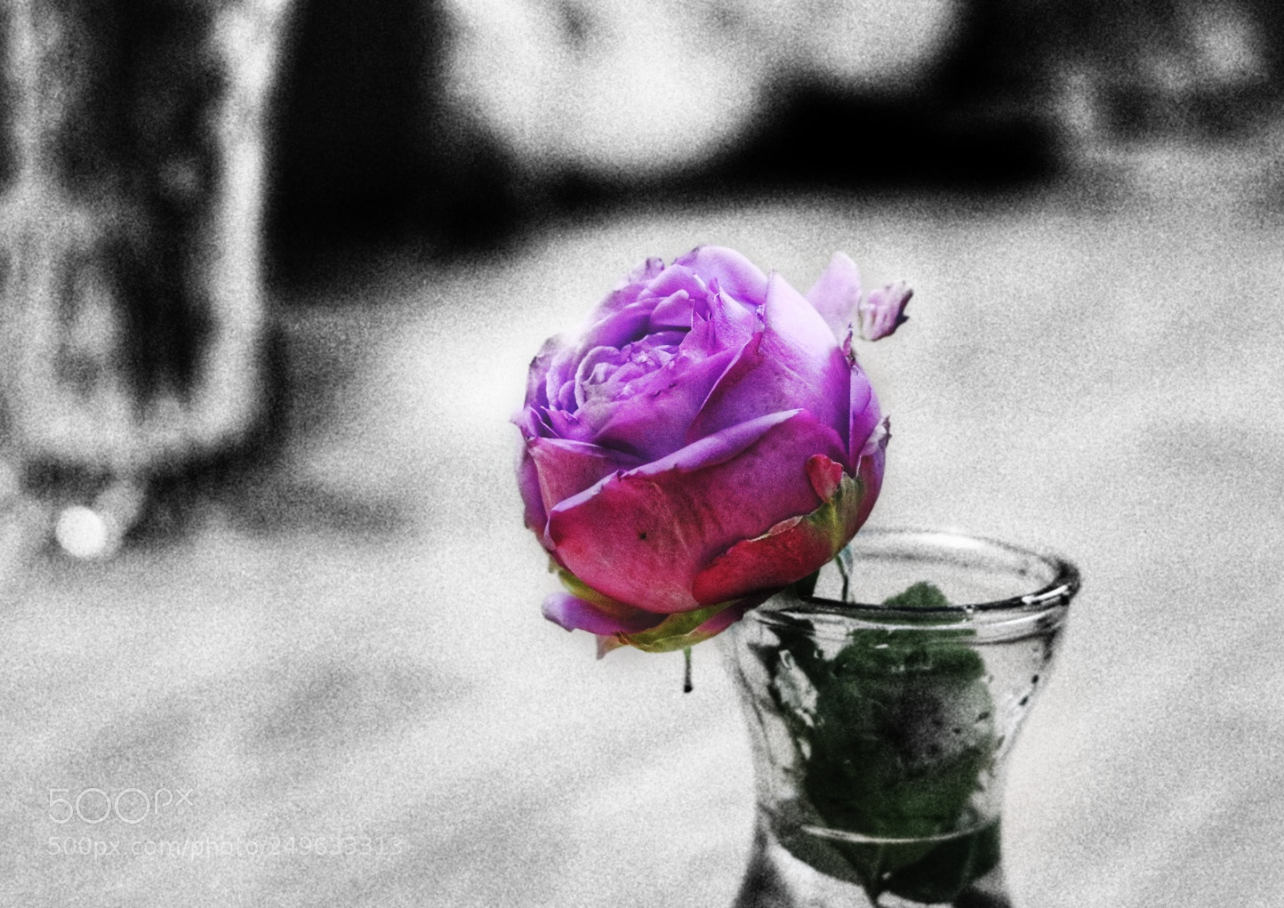 Canon EOS 760D (EOS Rebel T6s / EOS 8000D) sample photo. Untitled photography