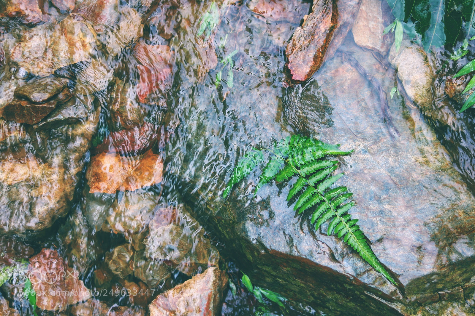 Canon EOS 760D (EOS Rebel T6s / EOS 8000D) sample photo. Life 1 photography
