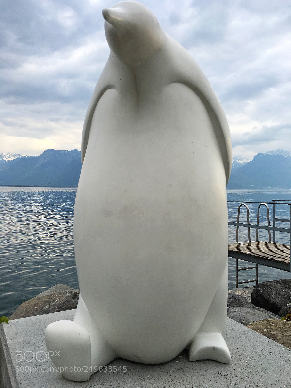 Apple iPhone 6s sample photo. Penguin photography