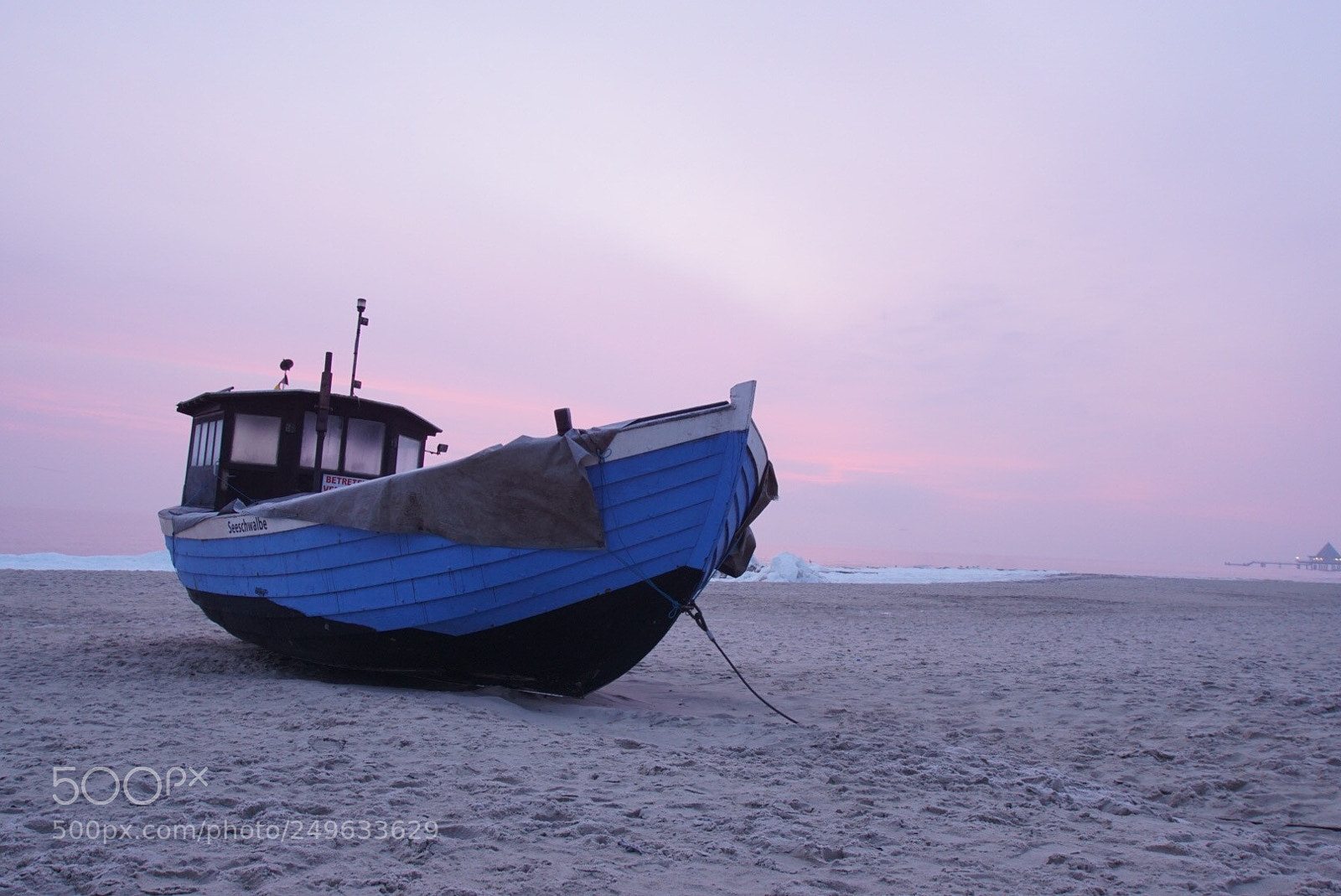 Sony ILCA-77M2 sample photo. Seeschwalbe  photography