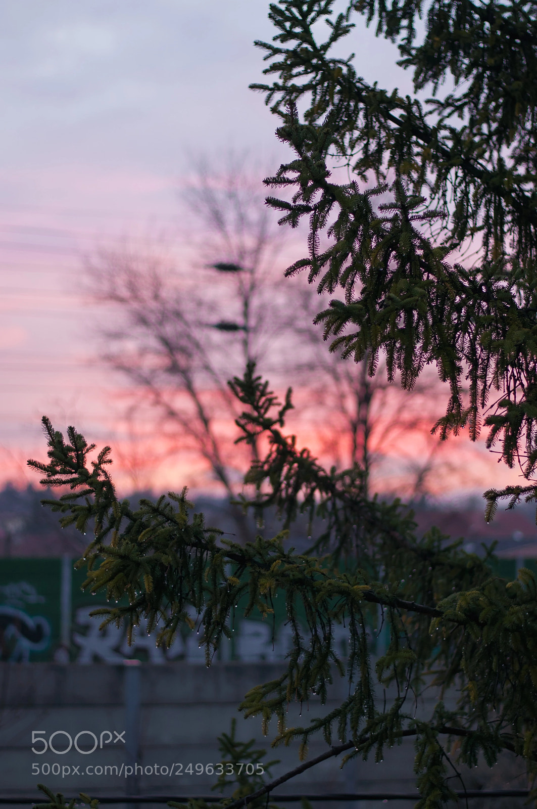 Nikon D90 sample photo. Untitled photography