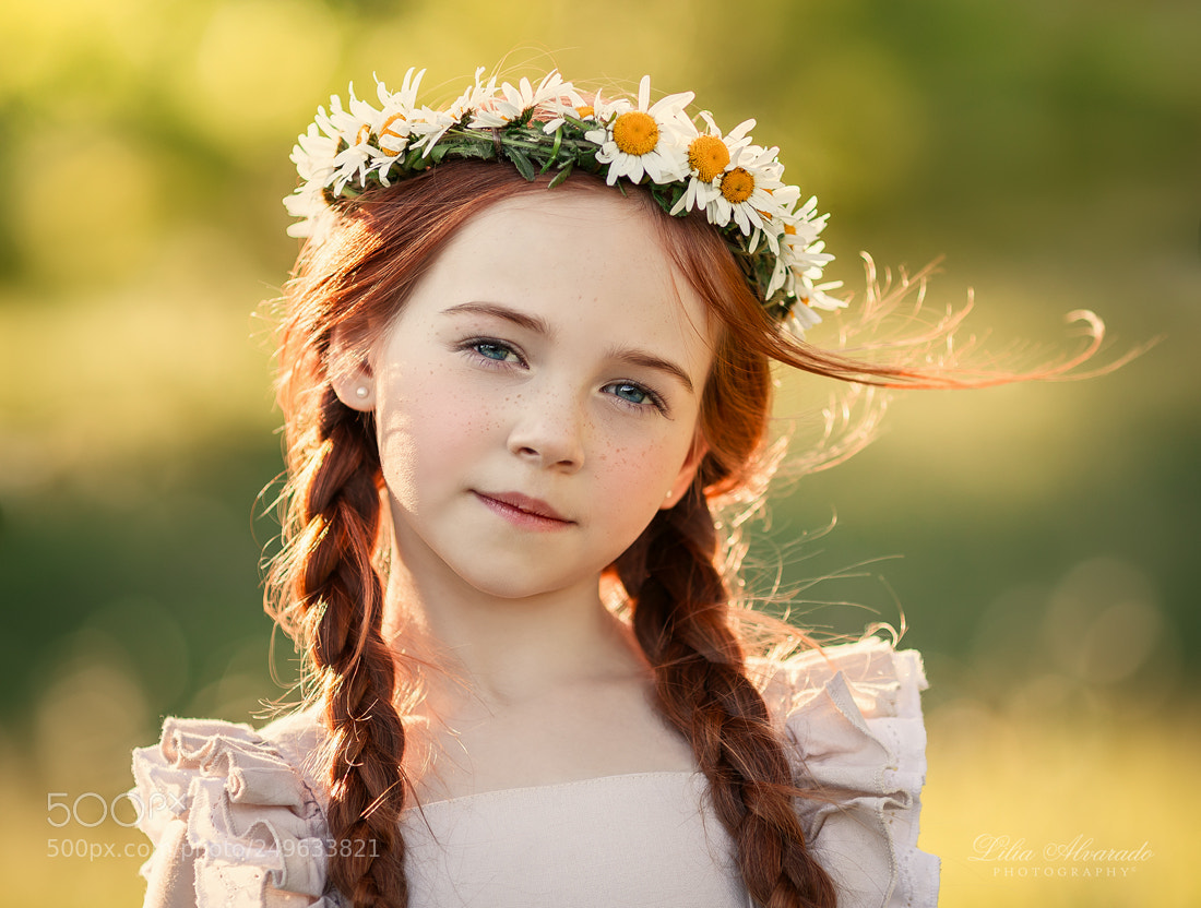 Canon EOS 5D Mark IV sample photo. Web photography