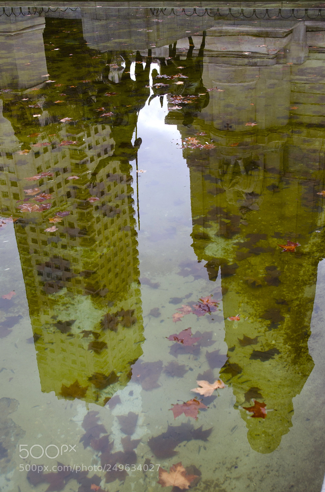 Pentax K-5 II sample photo. Don quijote photography