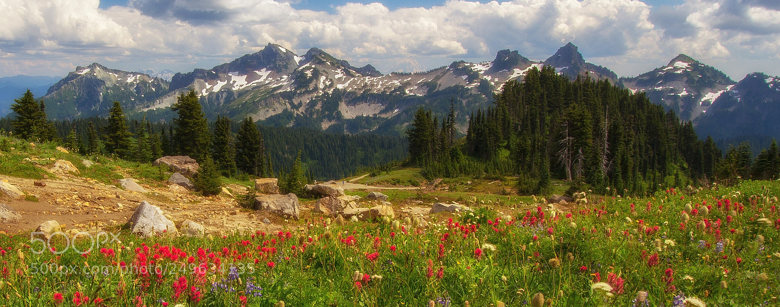 Canon EOS 60D sample photo. Wildflowers! photography