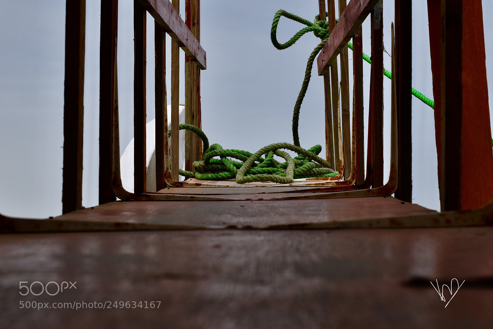 Nikon D5600 sample photo. Rope at the end photography