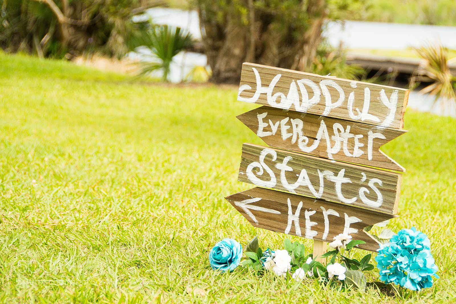 Nikon D3100 sample photo. Happily ever after photography