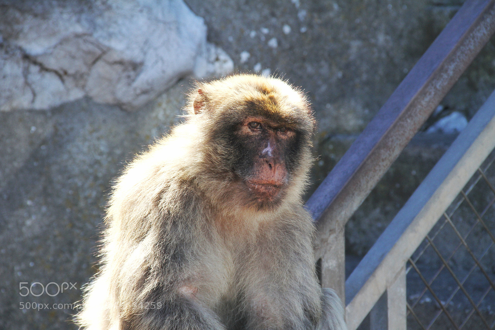 Canon EOS 7D sample photo. Untitled photography