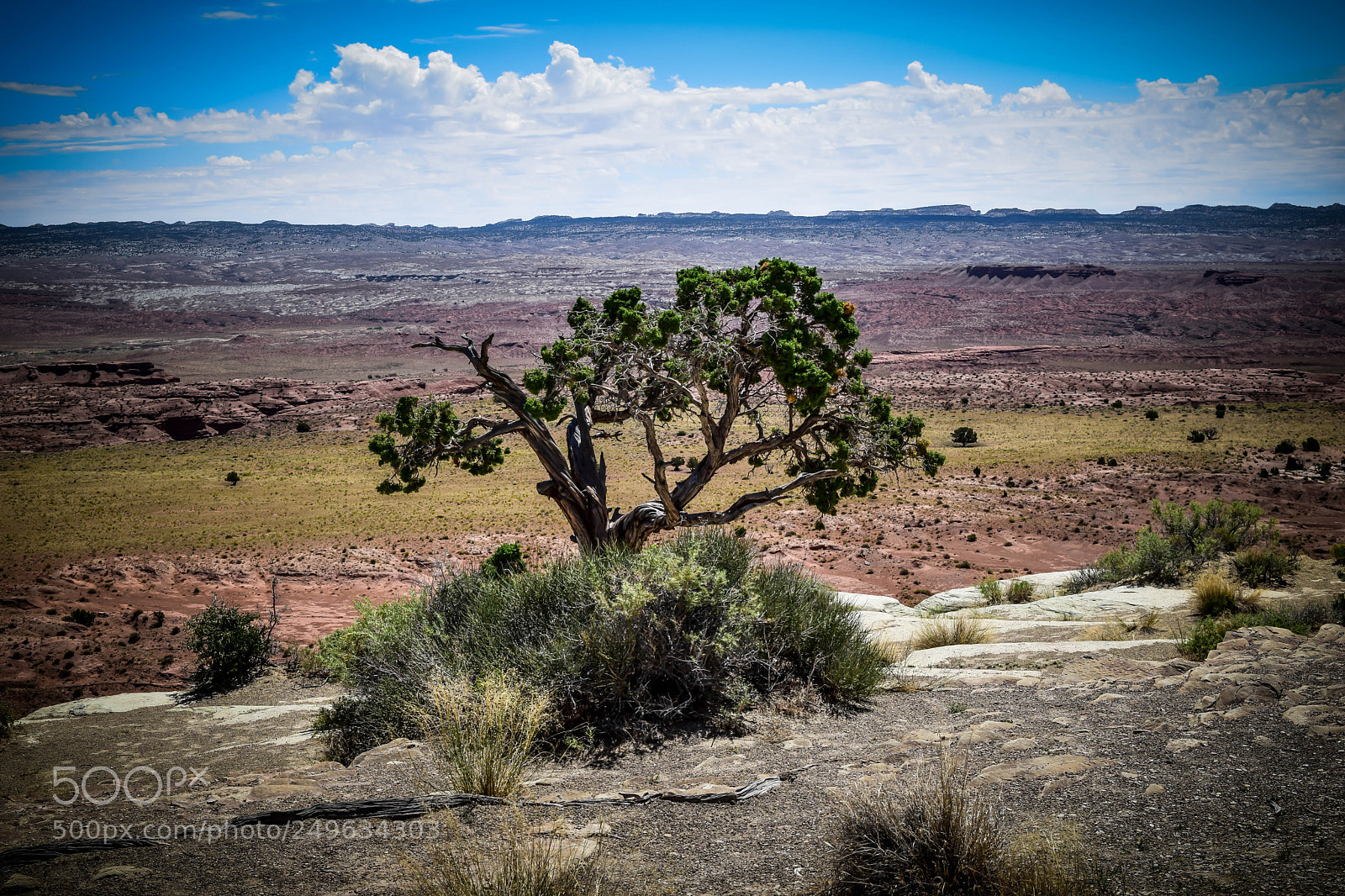 Nikon D5300 sample photo. Utah scenic view photography
