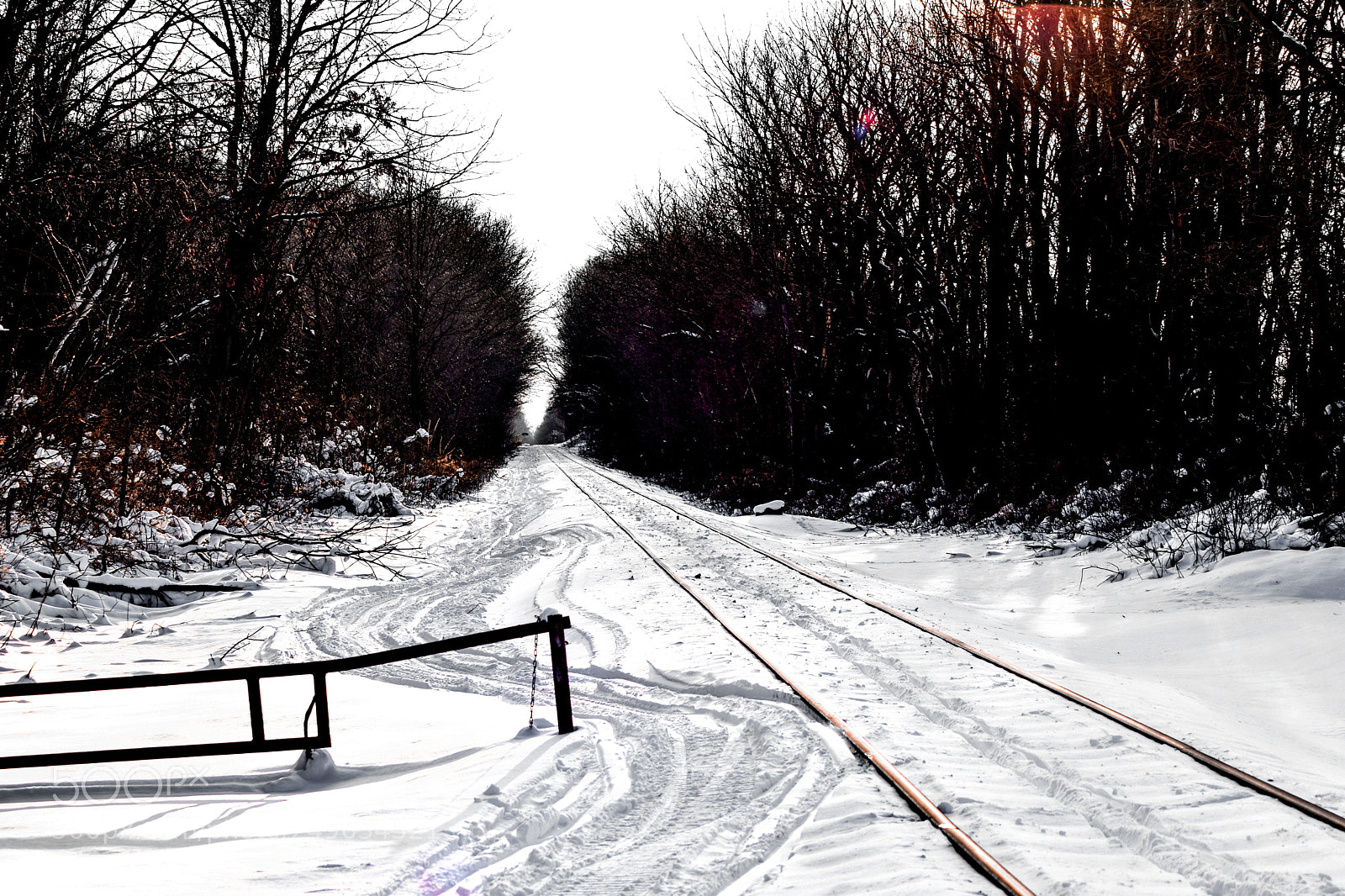 Nikon D5300 sample photo. Snowy train tracks photography