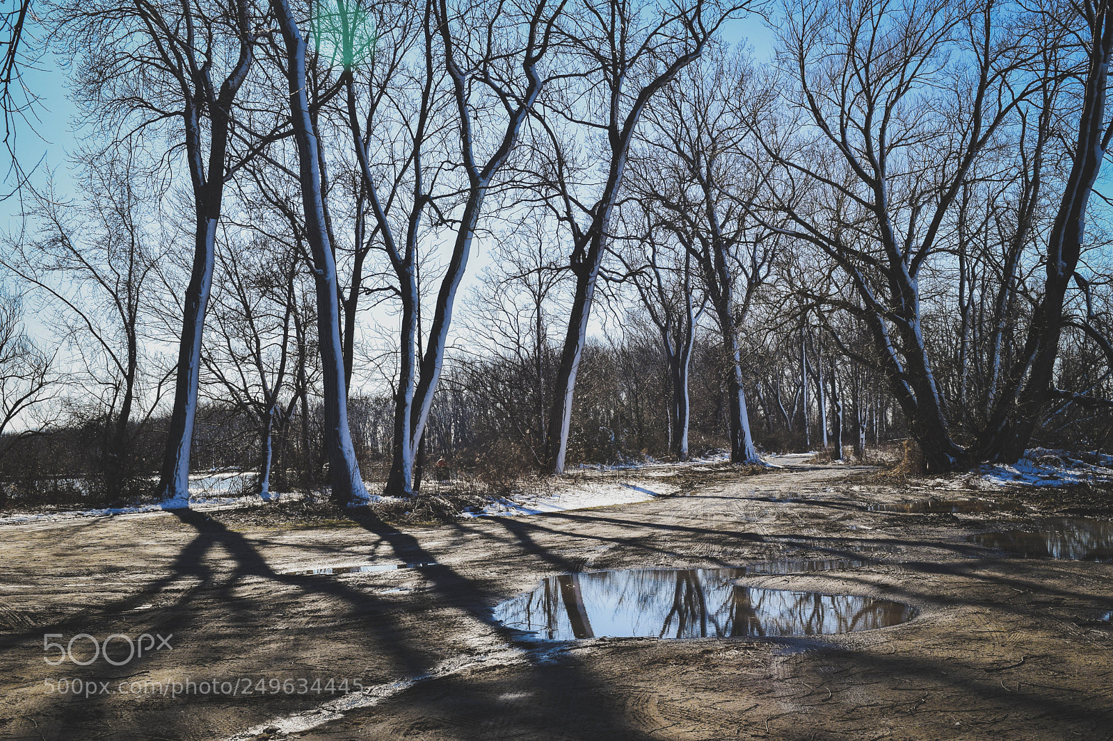 Nikon D5300 sample photo. Winter reflection photography