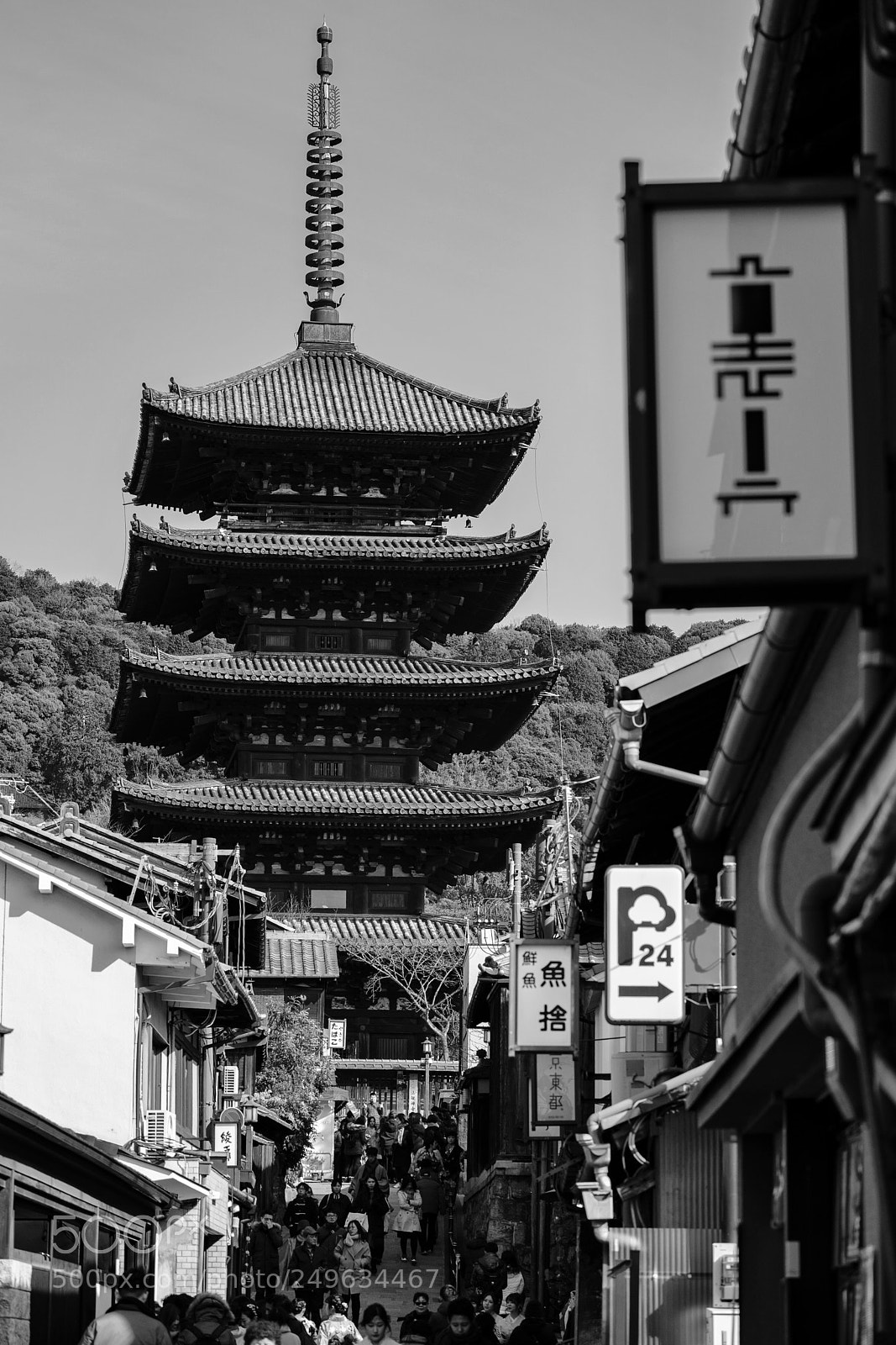 Sony a9 sample photo. Untitled photography