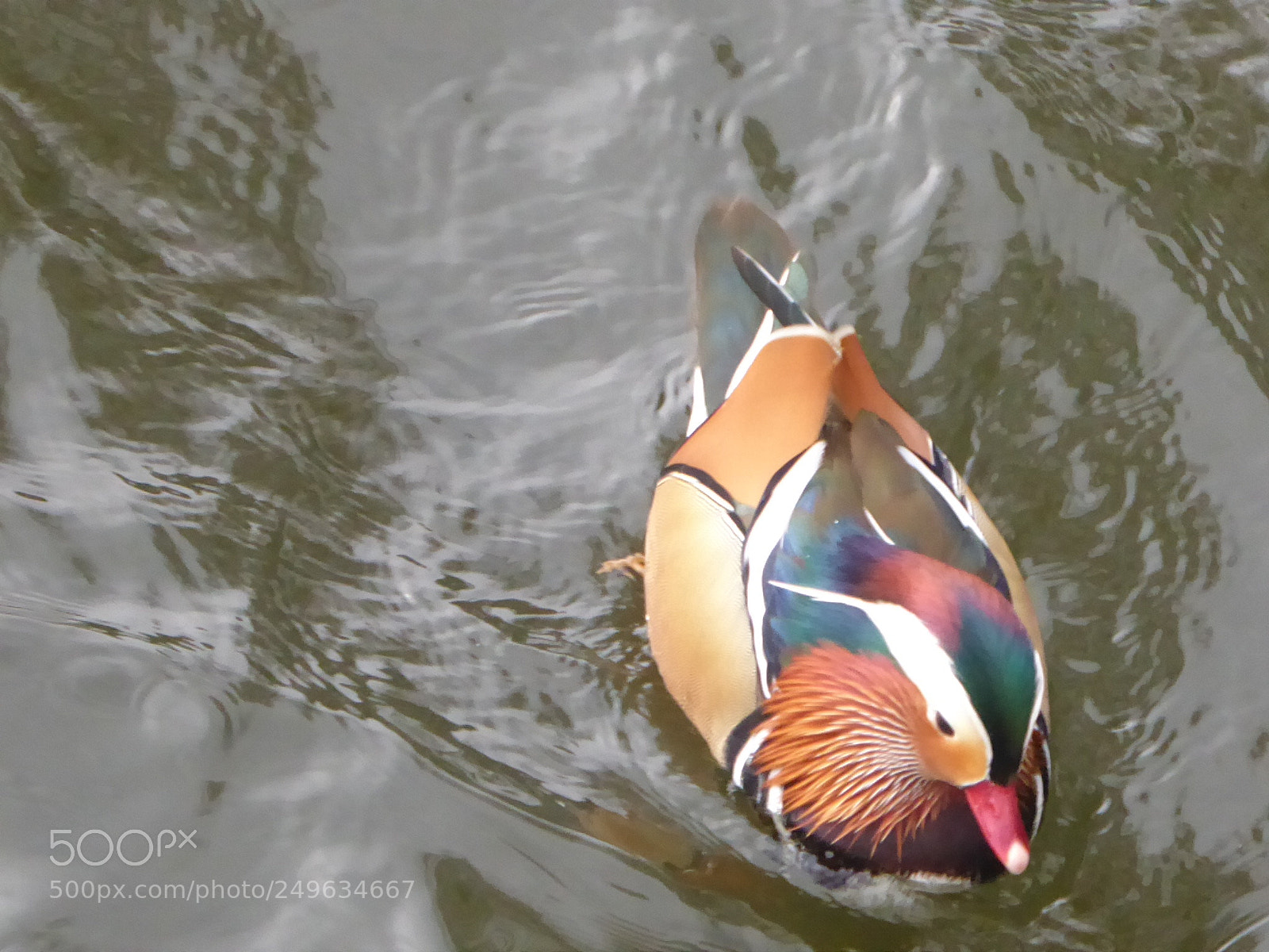 Panasonic DMC-TZ71 sample photo. Welch eine farbvielfalt photography