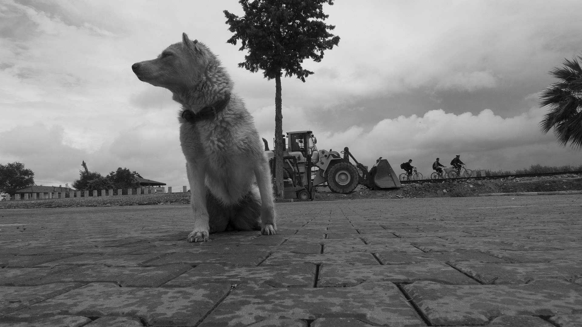 Panasonic Lumix DMC-LX3 sample photo. Nn photography