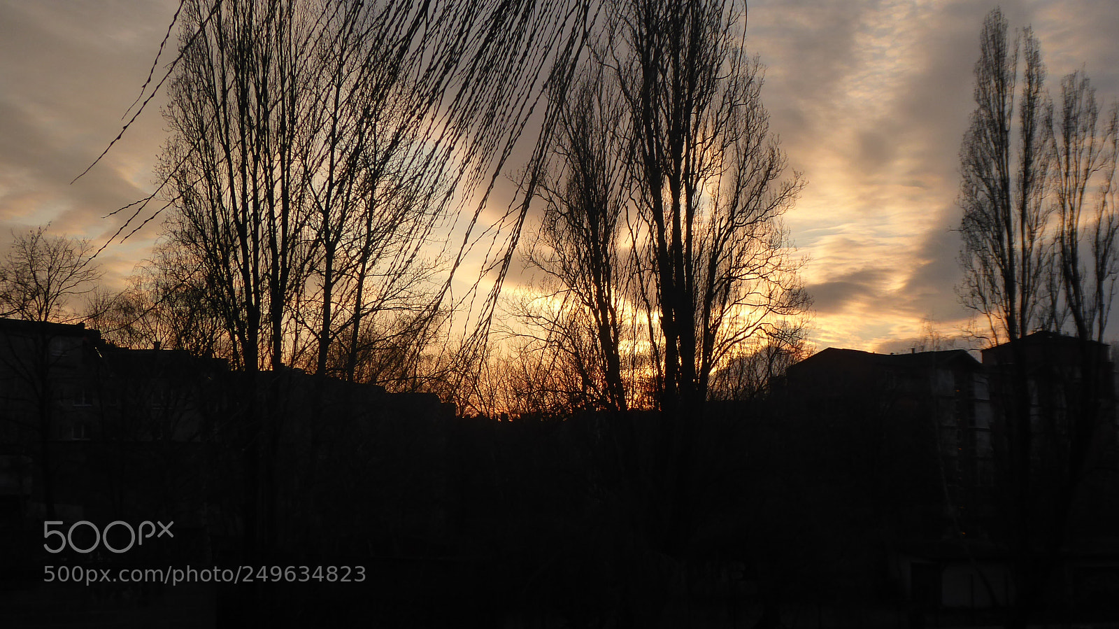 Panasonic DMC-TZ71 sample photo. Letzte sonnenstrahlen photography