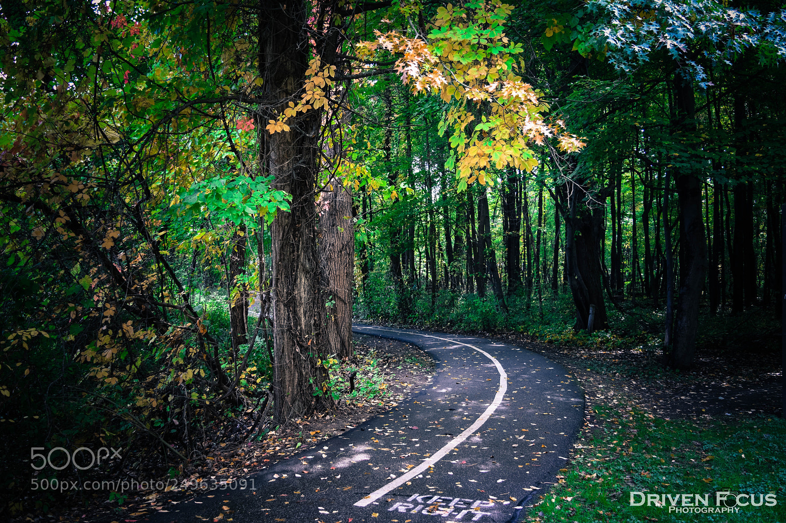 Nikon D5300 sample photo. Trail contrast photography