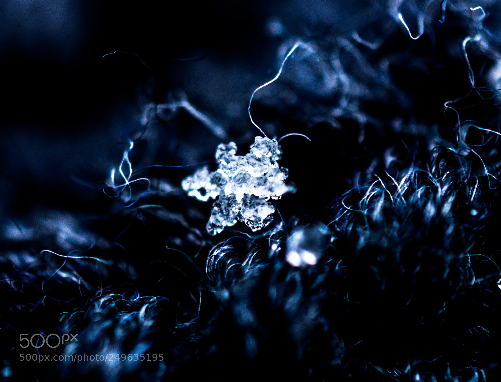 Nikon D3300 sample photo. The only snow we photography