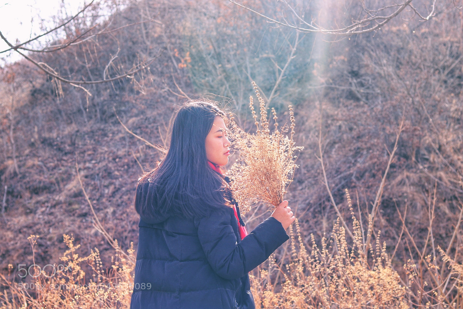 Canon EOS 760D (EOS Rebel T6s / EOS 8000D) sample photo. Untitled photography