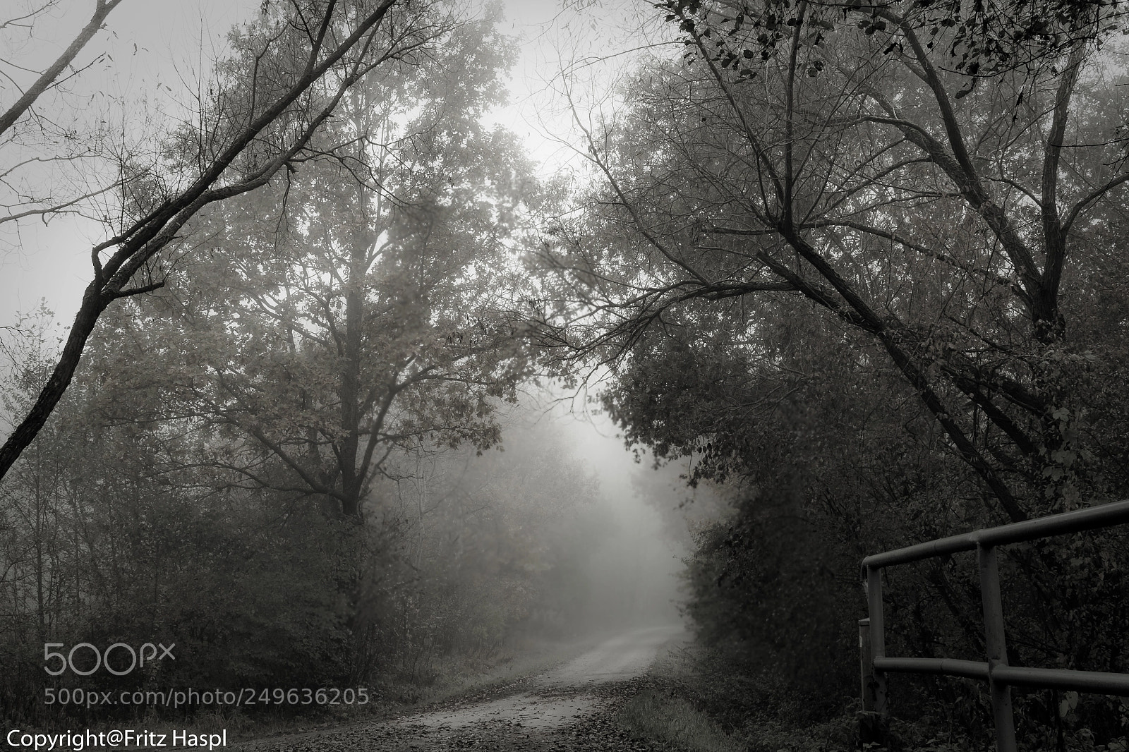 Nikon D800 sample photo. Road to nowhere photography