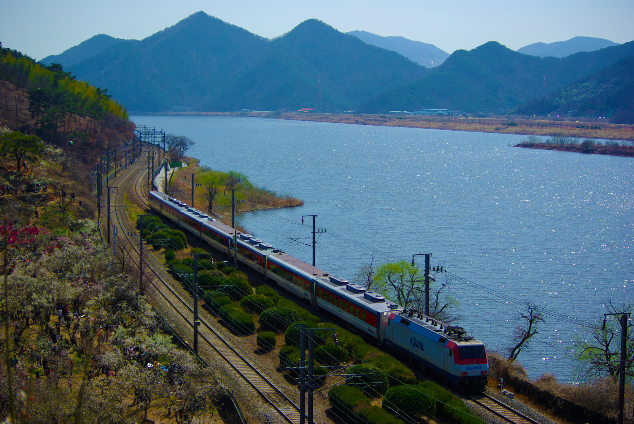 Samsung GX-10 sample photo. Tree - railroad - river photography