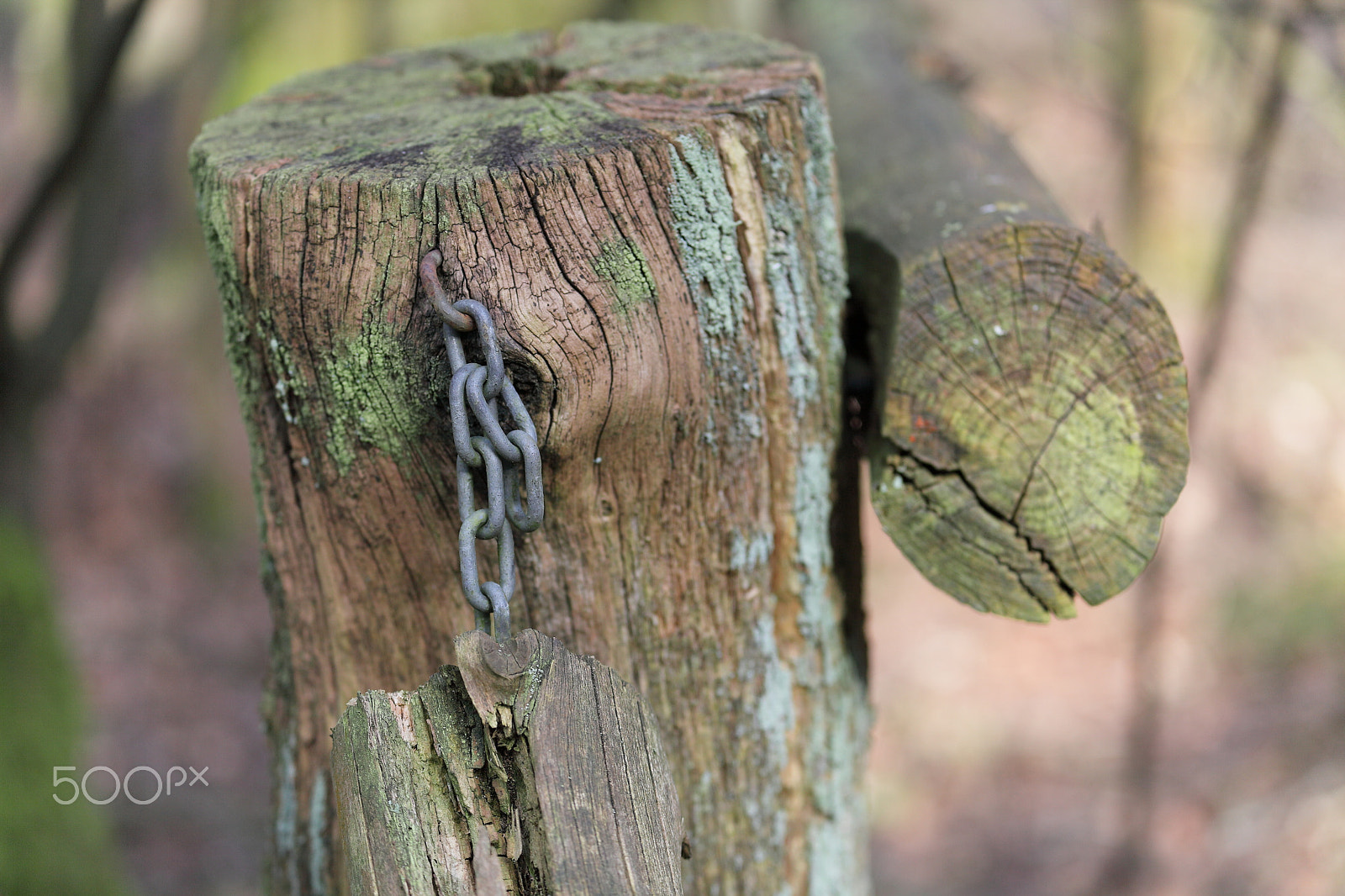 Canon EF 70-300mm F4-5.6L IS USM sample photo. Attached to the chain photography