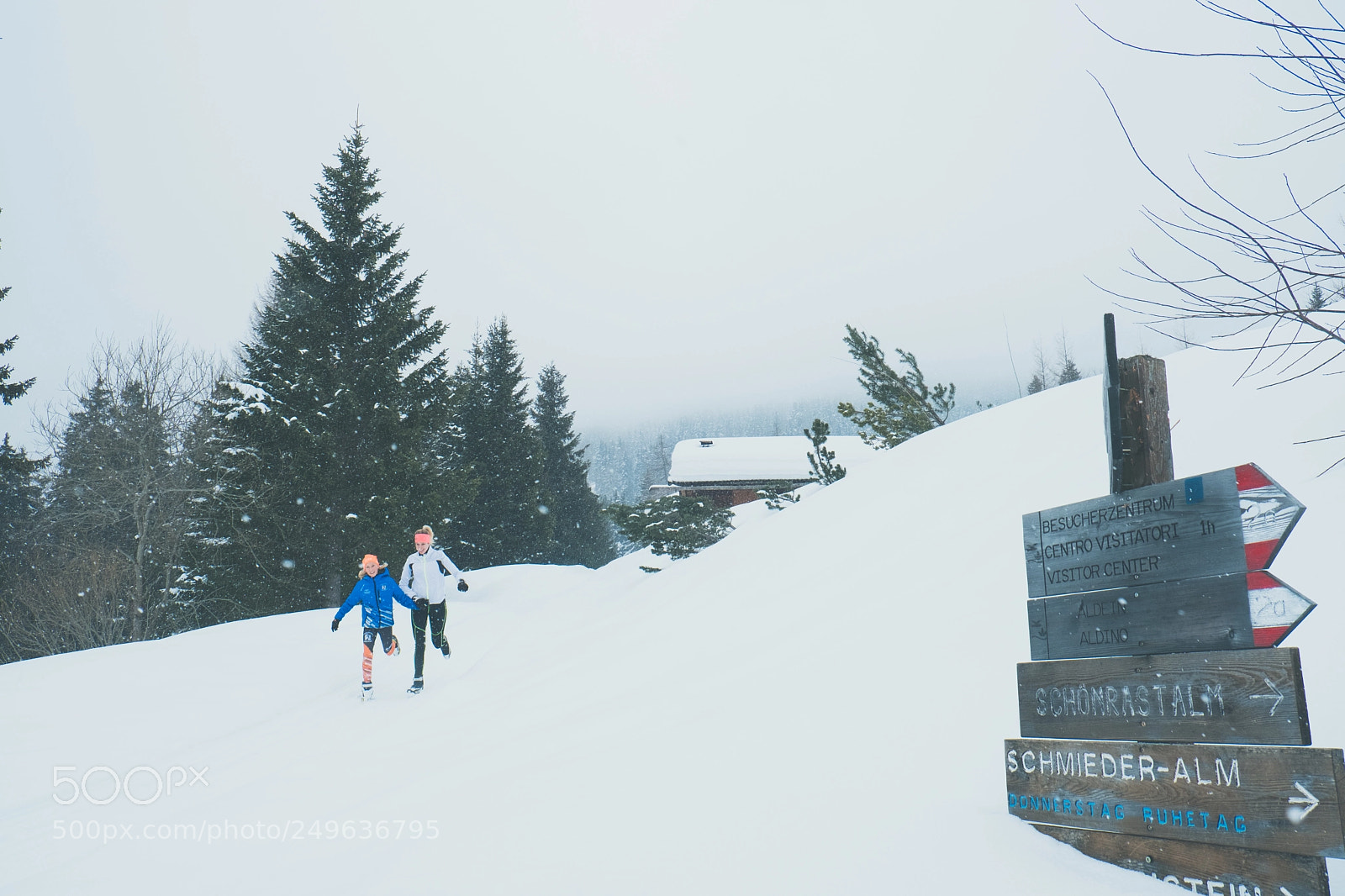 Fujifilm X-T2 sample photo. Divertirsi sotto la neve photography