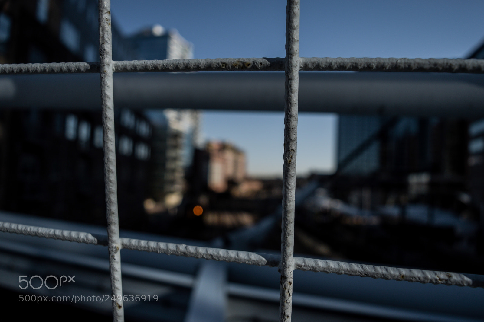 Nikon D5300 sample photo. Thru the fence photography