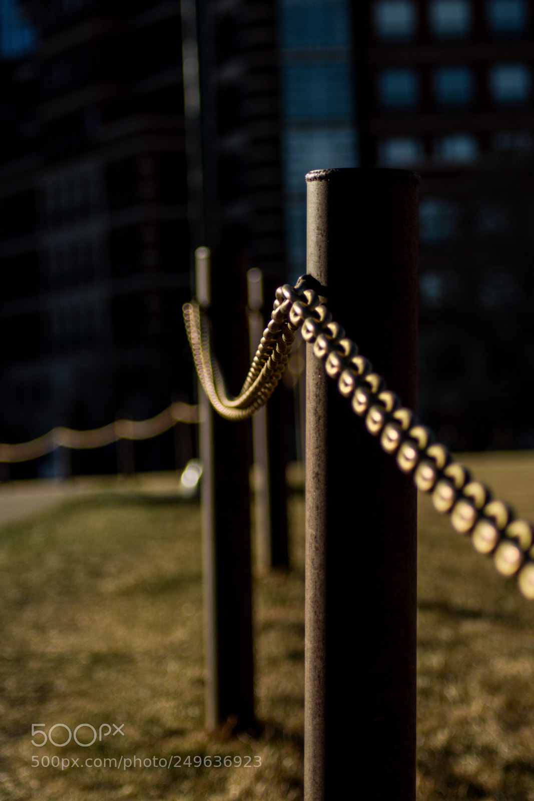 Nikon D5300 sample photo. Chain linked photography