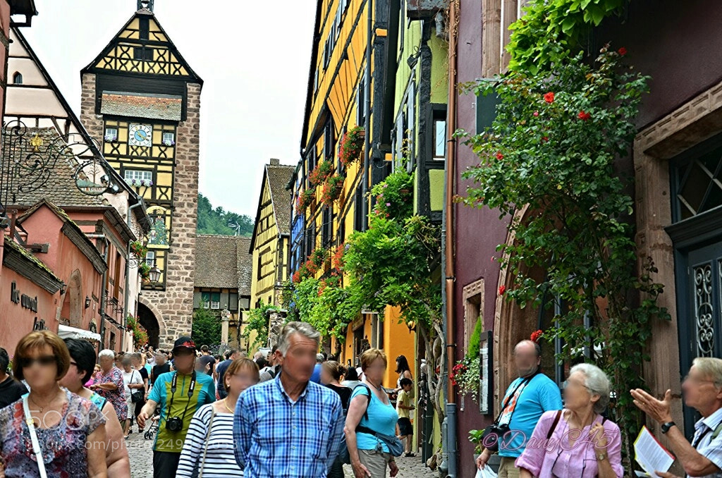 Nikon D5100 sample photo. Alsace (19) photography
