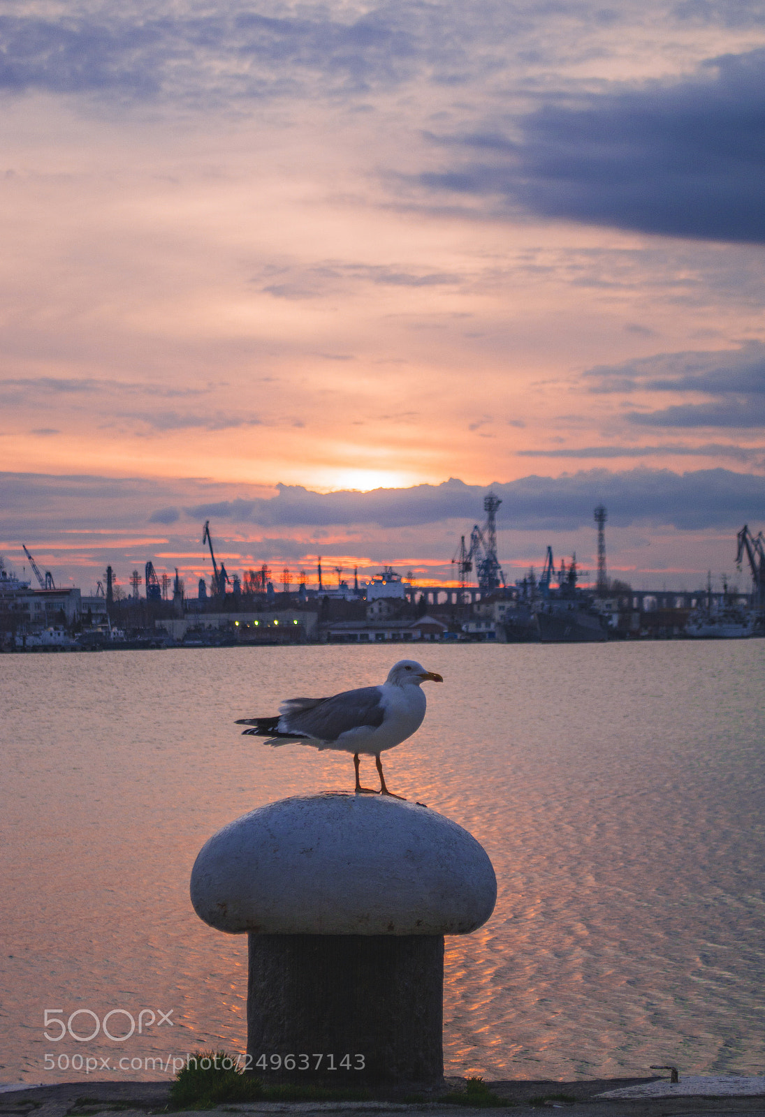 Nikon D7100 sample photo. Waiting for the sunset. photography