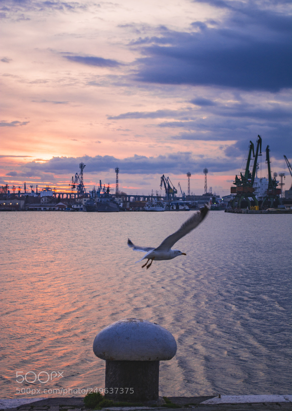 Nikon D7100 sample photo. Feeling free. photography