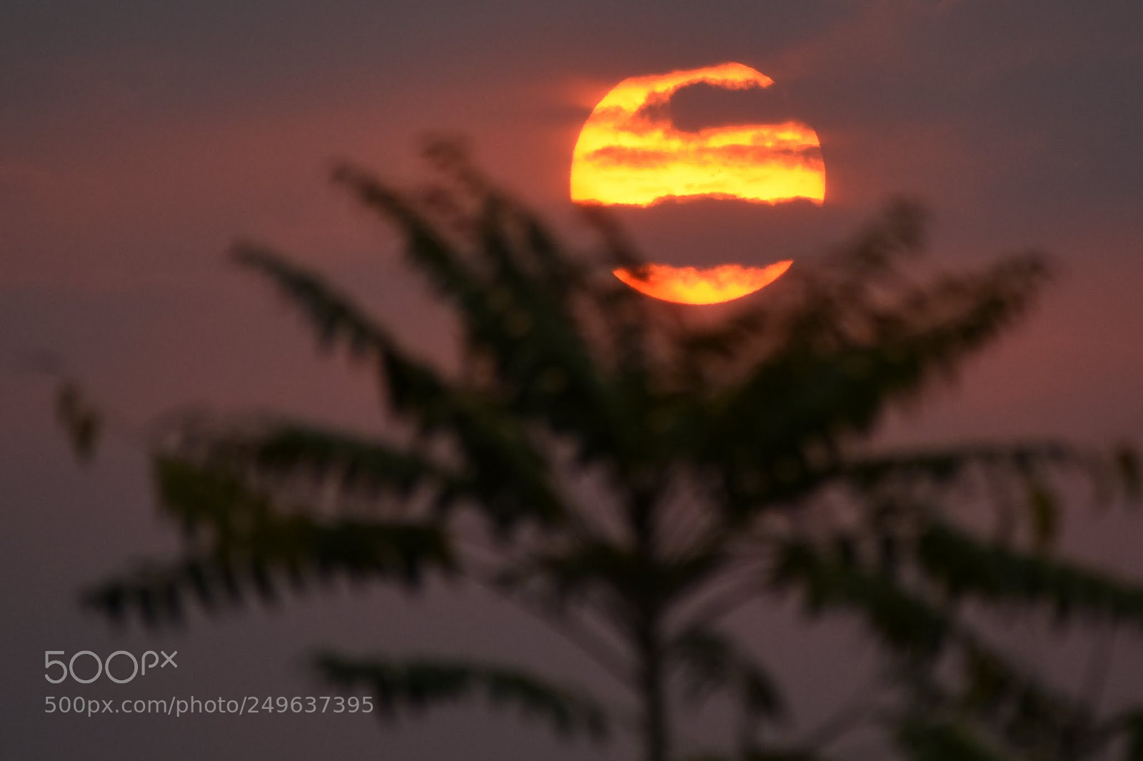 Nikon D7200 sample photo. Sunset photography