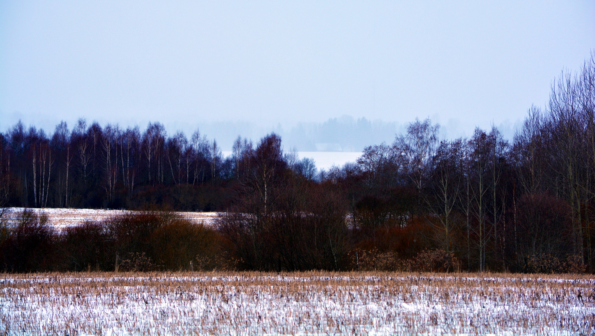 Nikon D5200 sample photo. Fields and lawns photography