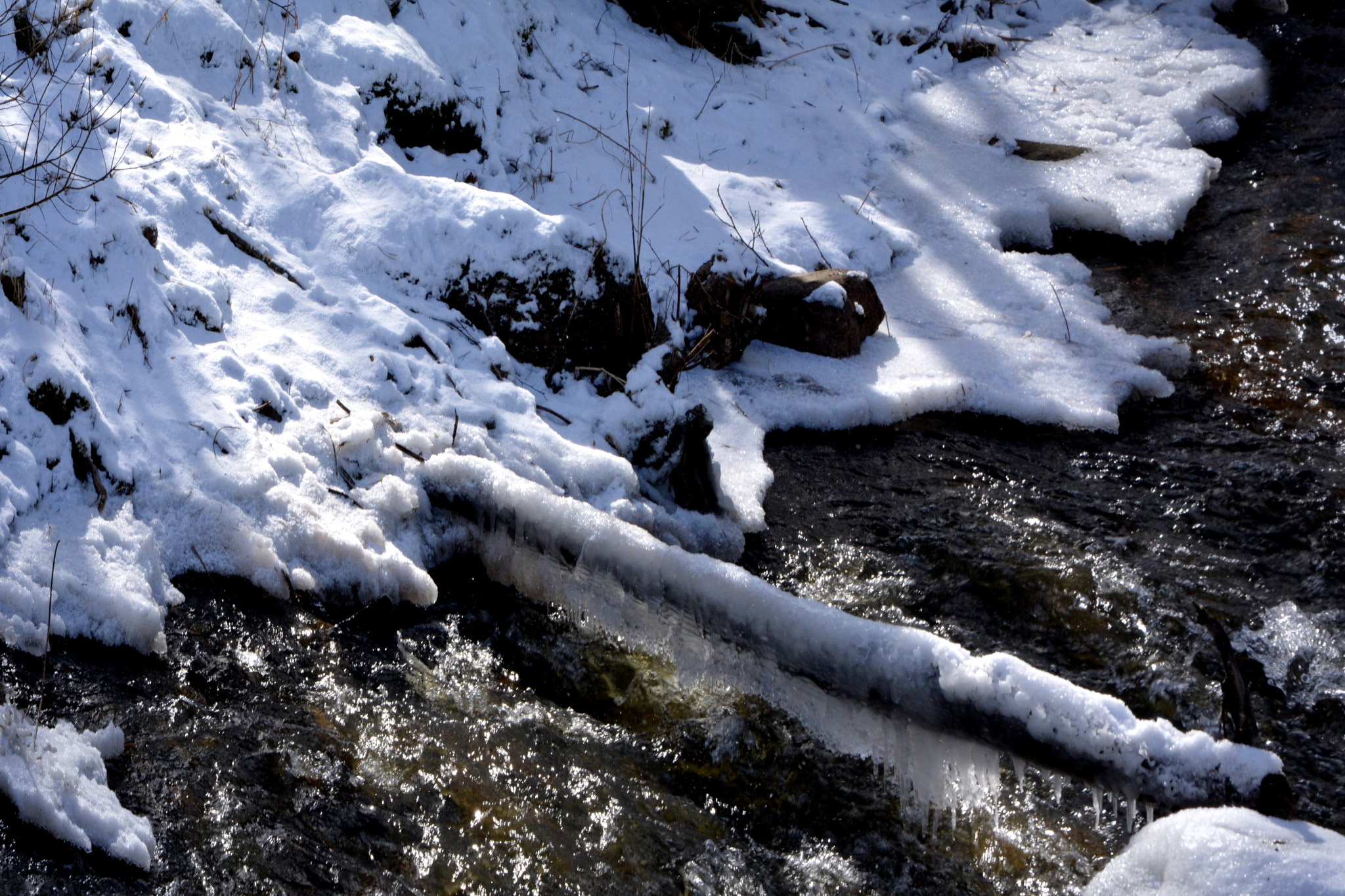 Nikon D5200 sample photo. Frost (16) photography